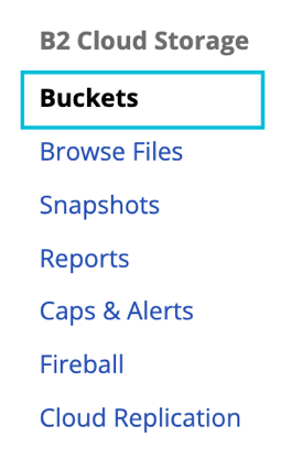 This is the alt tag?